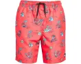 Детские спортивные шорты Everyday Mix Volley с принтом Quiksilver Kids