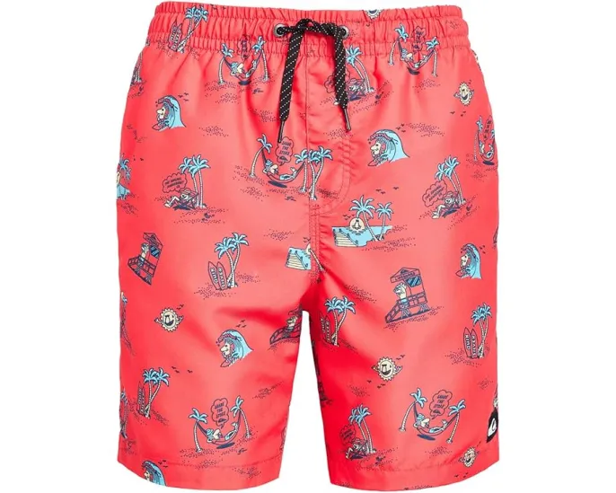 Детские спортивные шорты Everyday Mix Volley с принтом Quiksilver Kids