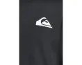 Quiksilver футболка с коротким рукавом Everyday Surf для мальчиков с защитой UPF 50