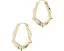 Серьги-кольца Kendra Scott Adriana с фигурным краем в виде ракушки