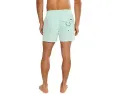 Шорты для волейбола Quiksilver Everyday Solid 15