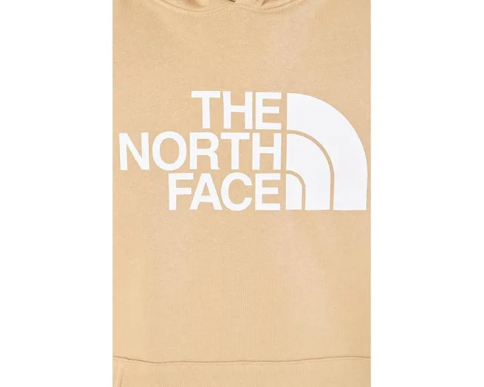 Классическая толстовка The North Face Evolution Half Dome с капюшоном