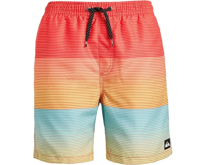 Детские спортивные шорты Everyday Mix Volley с принтом Quiksilver Kids