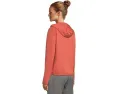Толстовка TNF Performance Fleece с капюшоном и полной застежкой молнией The North Face