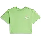 Collection Lime