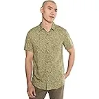 Olive Frond Print