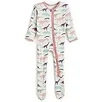 Lavender Dino Museum