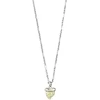 Silver Iridescent Abalone