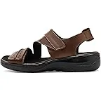 Bison Brown