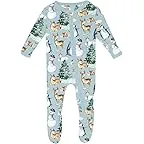 Spring Sky Winter Woodland