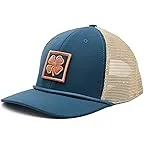 Blue/Tan Mesh
