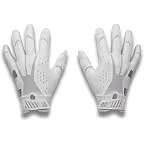 White/Metallic Silver