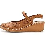 Camel 1