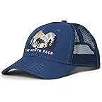 Shady Blue/Bear Graphic