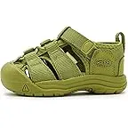 Golden Cypress Monochrome