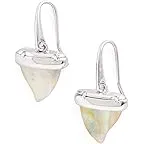 Silver Iridescent Abalone