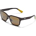 Shiny Brown/Hcl Bronze Polarized