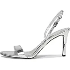 Shiny Silver