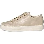 Shell Metallic Canvas