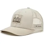 Dark Stone/Ancient Fossil