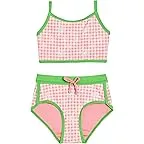 Pink Gingham