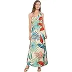 Birds of Paradise