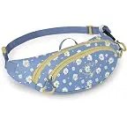Daisy Print/Sevres Blue