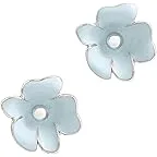 Blue/Silver
