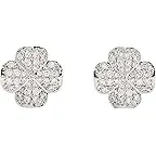 Clear/Silver