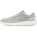 Wild Dove/Steel