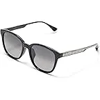 Shiny Black W/Trans Light Grey/Neutral Grey Polarized