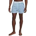 Vertical Boardwalk Logo Stripe Small Blue Descent