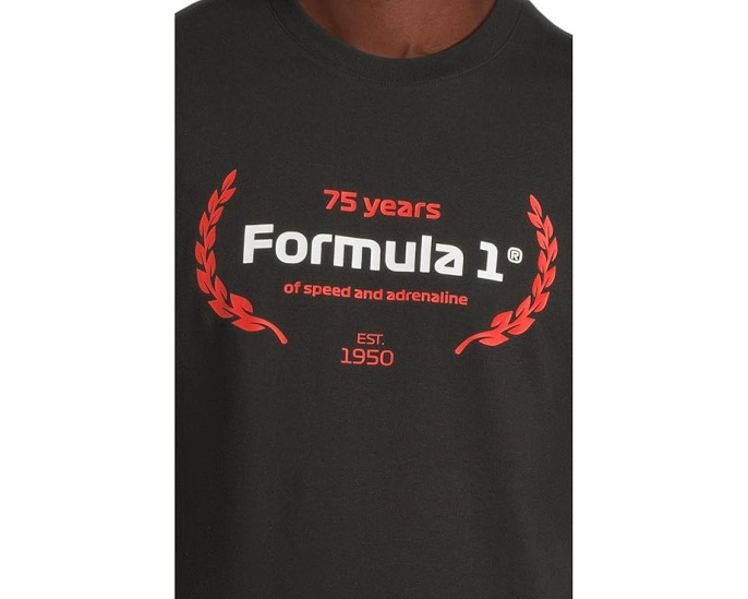 Футболка Formula 1 Graphic с принтом и классическим кроем