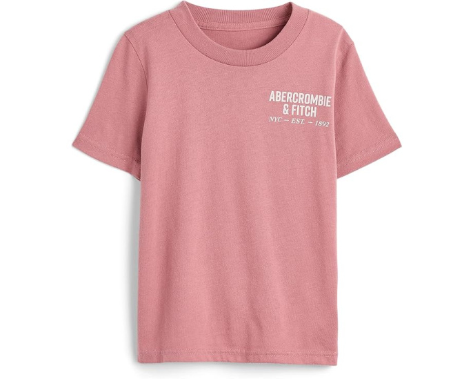 Футболка abercrombie kids с логотипом NYC Est 1892 Logo Tee