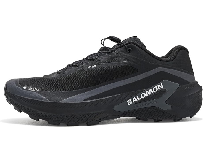 Трейловые кроссовки Salomon Genesis 2 GORE-TEX