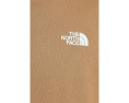 The North Face футболка Evolution TNF NSE Regular с коротким рукавом Caraway Seed