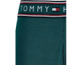 Боксеры Tommy Hilfiger Boxer Brief 3 Pack бирюзовые с логотипом
