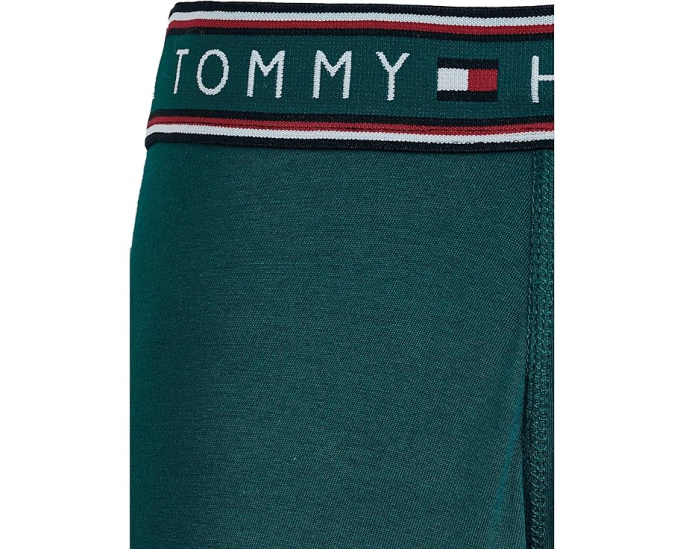Боксеры Tommy Hilfiger Boxer Brief 3 Pack бирюзовые с логотипом