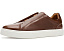 Кроссовки Steve Madden Lacer на мягкой стельке с круглым носком