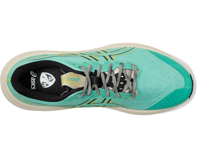 ASICS GT-2000 14 TR для смешанного рельефа с амортизацией FF BLAST MAX