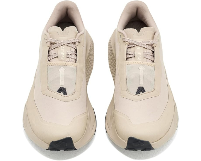 The North Face кроссовки Altamesa 500 V2 GORE-TEX трейловые