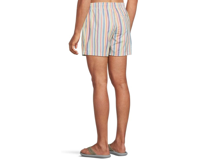 Плавки Chubbies The Parlor Stripes 5.5 дюйма (14 см) с быстрым высыханием