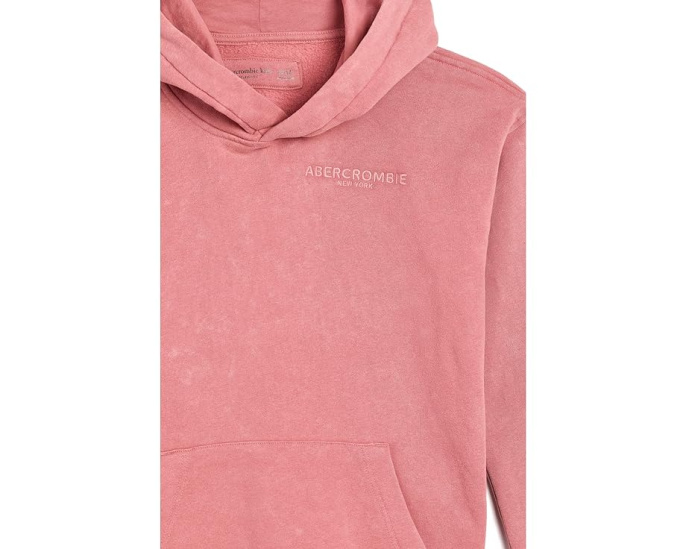 Выцветшая худи Sunfaded Pullover Hoodie abercrombie kids с капюшоном