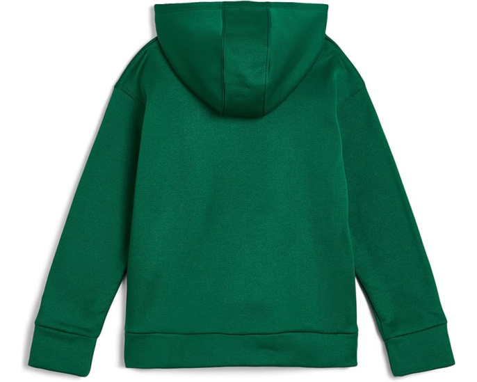 Детская флисовая кофта Under Armour Armour Fleece Hoodie