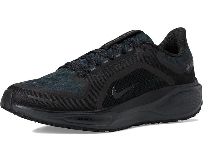 Беговые кроссовки Nike Pegasus 41 GORE-TEX с защитой от воды