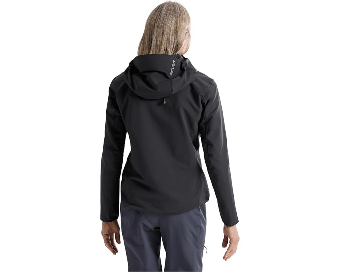 Худи Arc'teryx Gamma с капюшоном StormHood
