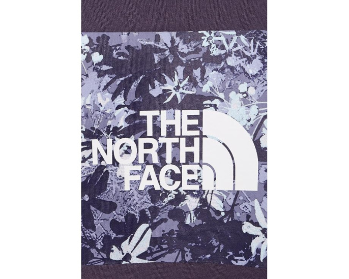 The North Face Evolution Moon Florals Print Box NSE оверсайз худи с цветочным принтом