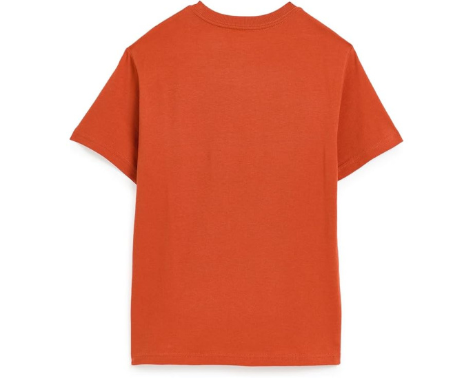 Polo Bear Cotton Jersey Tee (Big Kid)
