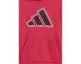 Детский спортивный костюм Adidas Graphic Fleece с капюшоном