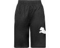 Спортивные шорты Boys Core Essential Puma